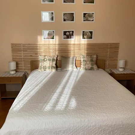 게스트하우스 Tencarola B & B Tencarola