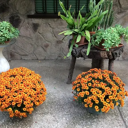 Penzion Tencarola B & B