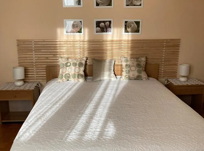 Casa de hóspedes Tencarola B & B Tencarola