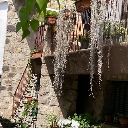 Guest house Tencarola B & B