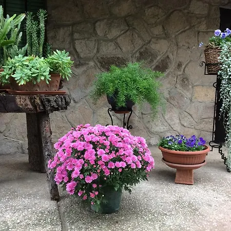 Tencarola B & B Tencarola